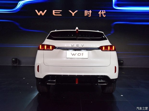 长城汽车 WEY W01 2017款 基本型