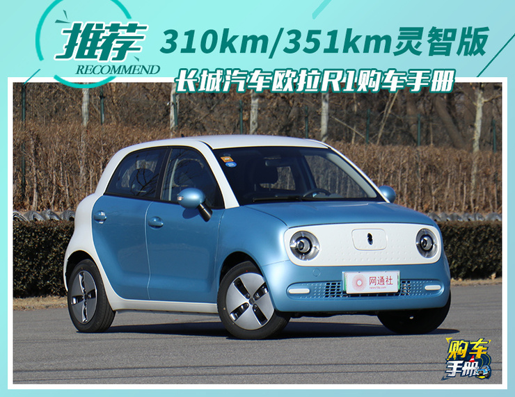 推荐310km\/351km灵智版 长城汽车欧拉R1购车